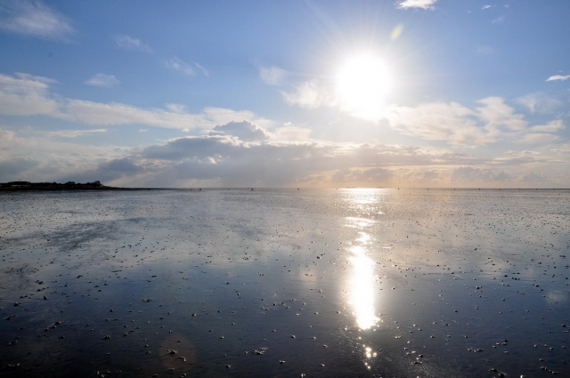 20120730_194007_DSC_8098