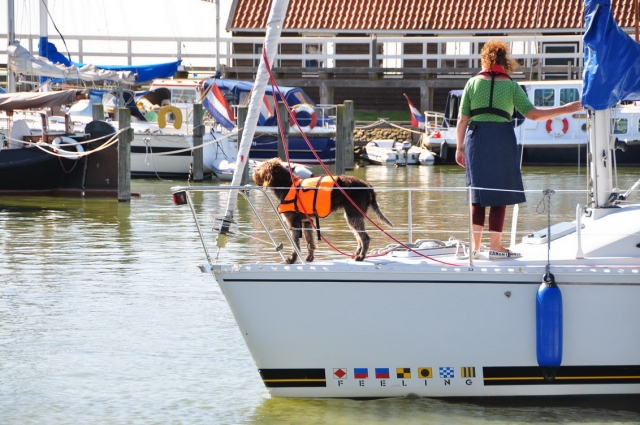 20120803_170111_DSC_8766