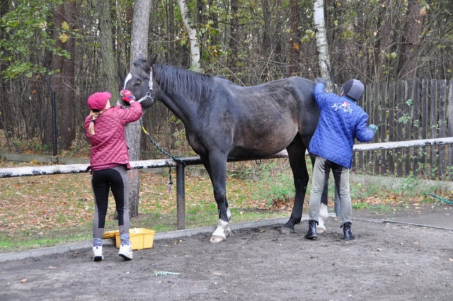 20121103_111134_DSC_0299