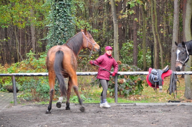 20121103_112943_DSC_0313