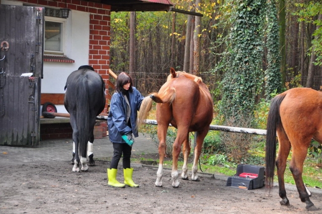 20121103_120925_DSC_0383