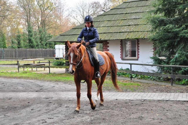 20121103_120952_DSC_0385