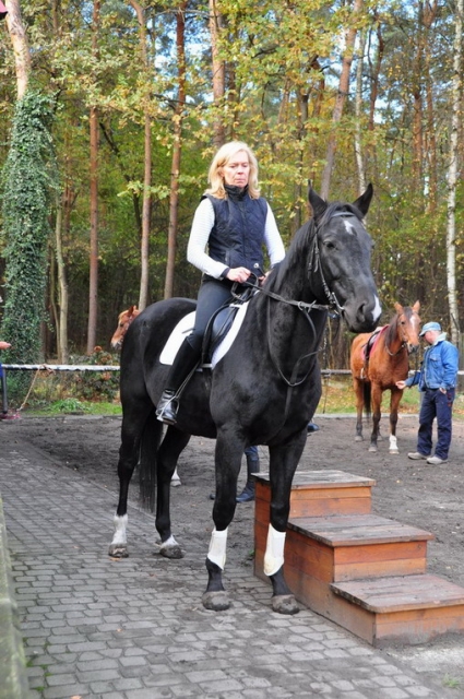 20121103_122019_DSC_0420