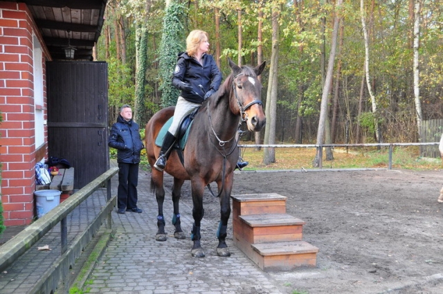 20121103_122716_DSC_0456