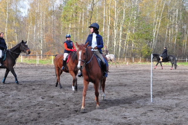 20121103_123255_DSC_0476