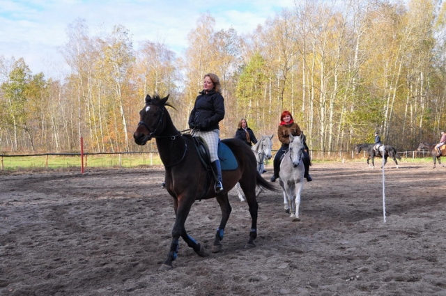 20121103_123304_DSC_0479