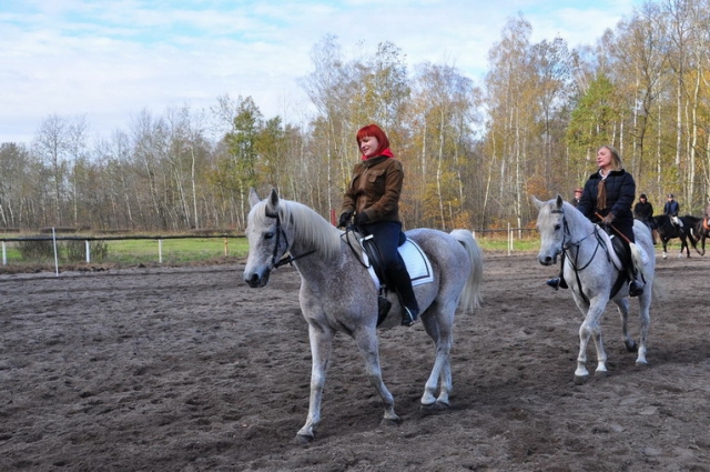 20121103_123308_DSC_0481