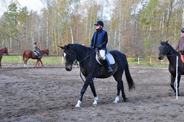 20121103_123456_DSC_0506