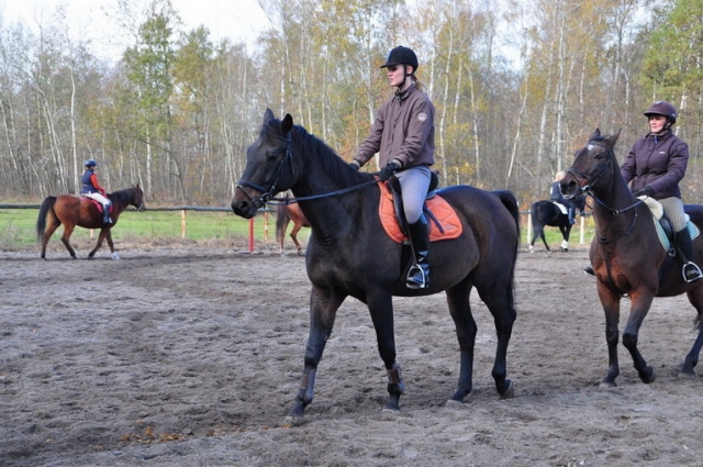 20121103_123500_DSC_0510