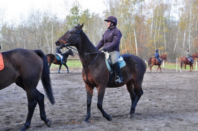 20121103_123503_DSC_0513