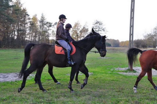 20121103_124321_DSC_0596