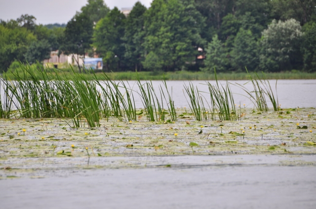 20090704_112022_DSC_1308