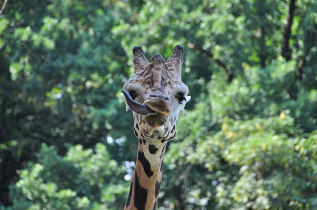 20090701_143047_DSC_1095