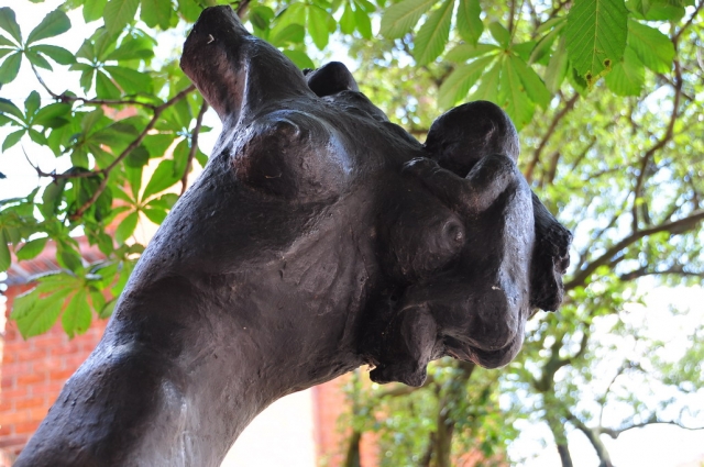 20090703_131322_DSC_1232