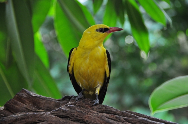 20090701_152616_DSC_1126